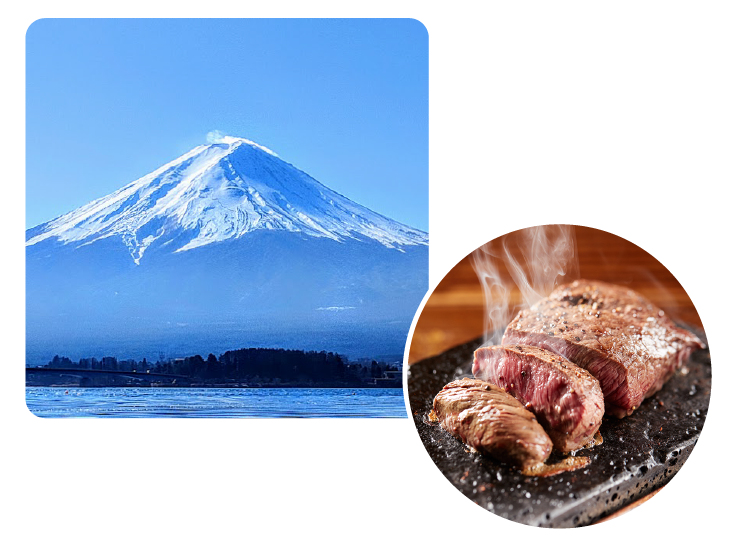 富士山の溶岩石を使用!