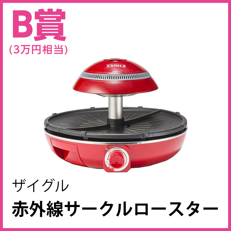ザイグル 赤外線サークルロースター