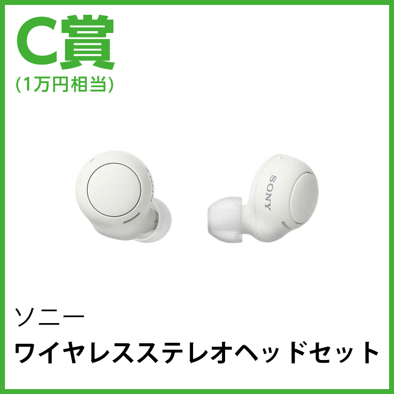 ソニー ワイヤレスステレオヘッドセット